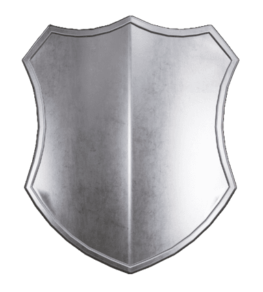 Fleet Security Shield